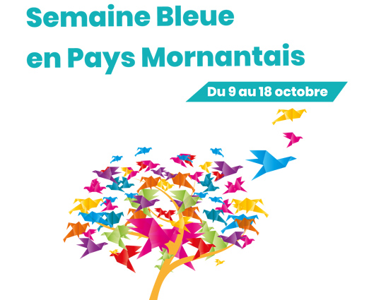 Affiche semaine bleue 2019